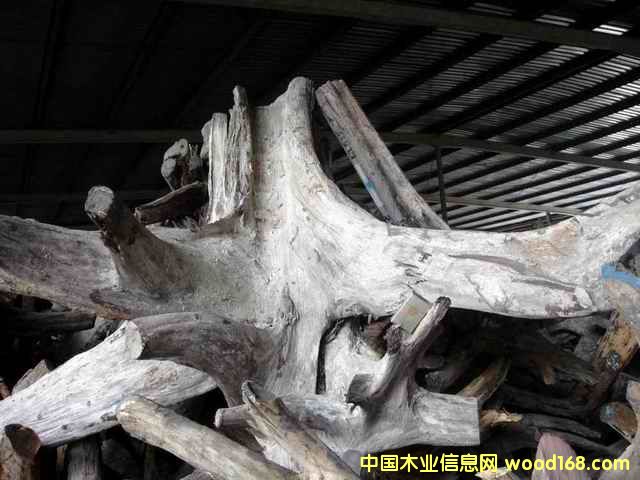 �ϓ�t��֦���^�������Ԕ����B