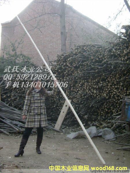 ̫�O��U��Ԕ��(x��)��B