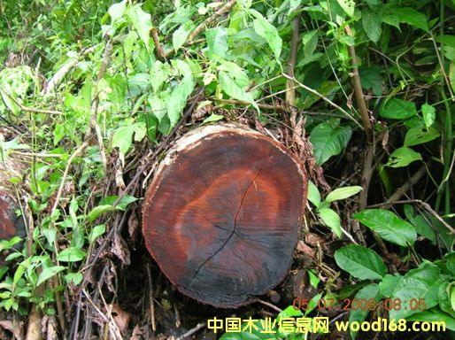 9��Ԕ��(x��)��B