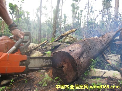 10��Ԕ��(x��)��B