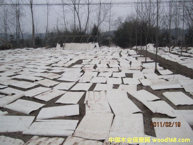 ��ľ�ΰ��Ԕ����B