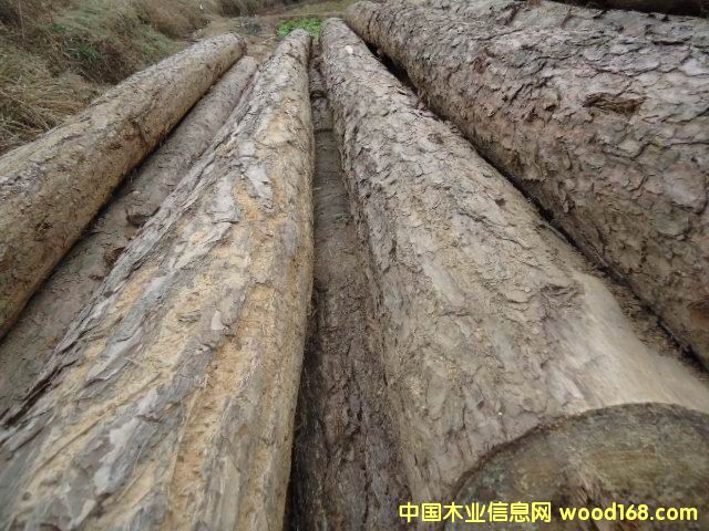 ��ľԭľ��Ԕ����B