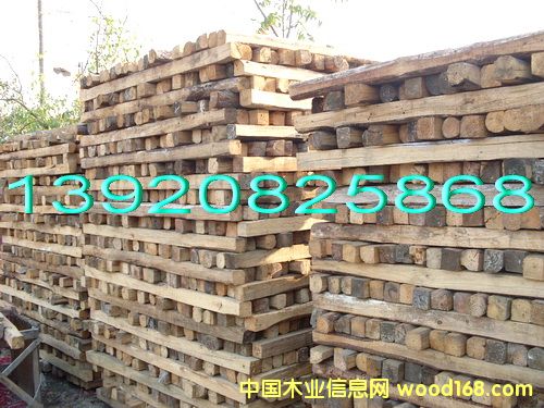 ľ����Ԕ����B