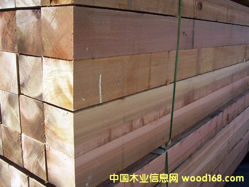 �tѩ�ɵ�Ԕ����B