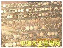 ���m�Ǽ܈A�ιǼܵ�Ԕ����B