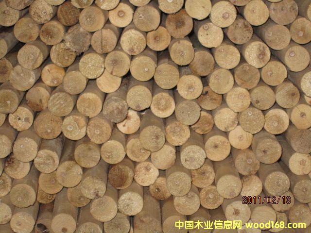 ��ľ��о��Ԕ��(x��)��B