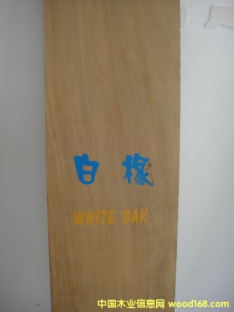 �c(di��n)���鿴����Ŵ�DƬ