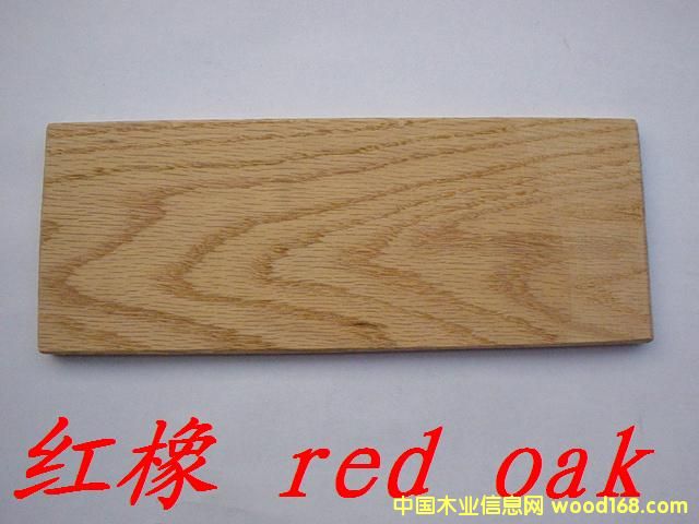 �c(di��n)���鿴�t��Ŵ�DƬ