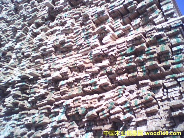 ľ����ľ��������Ԕ����B