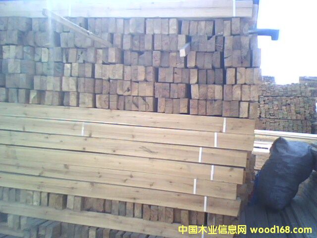 ľ����ľ��������Ԕ����B