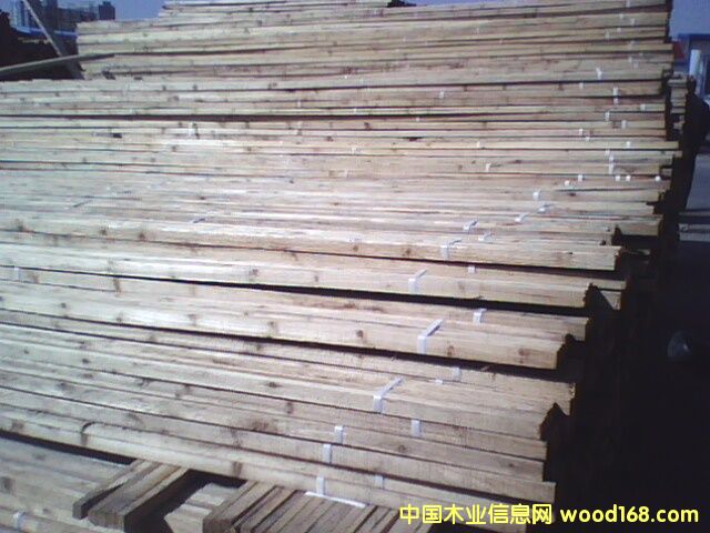 ľ����ľ��������Ԕ����B