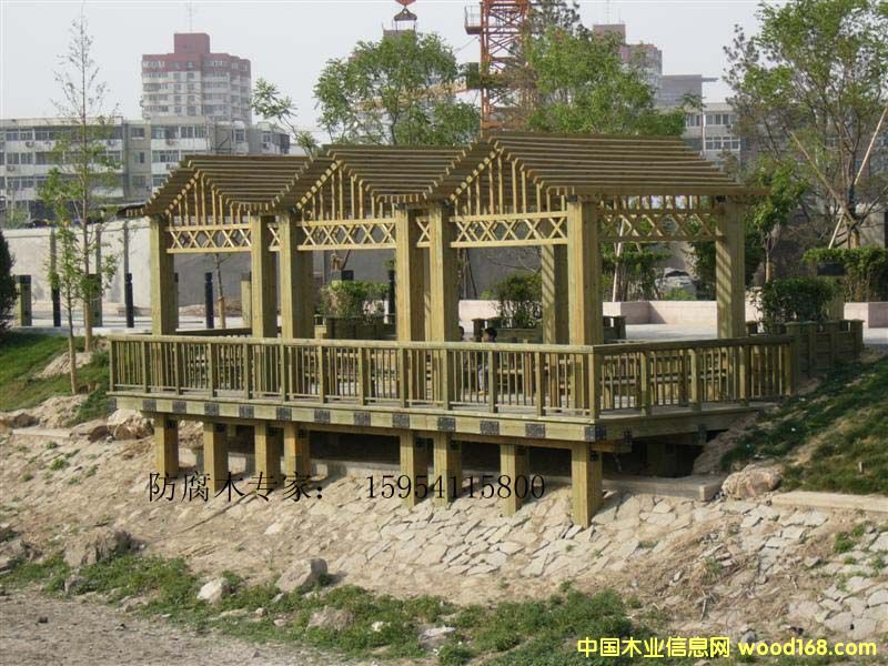 ����ľ��Ԕ����B