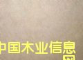 �c���鿴���ܶ��w��Ŵ�DƬ