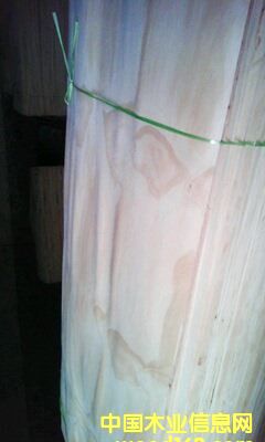 ݗ������Ƥ��Ԕ����B