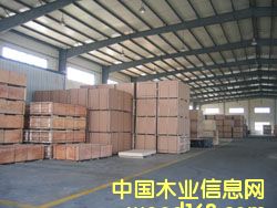 �c(di��n)���鿴��ľ���Ӱ��Ԕ��(x��)�Y��