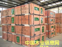 �c���鿴ȫ��ľ�z�ϰ�Ŵ�DƬ