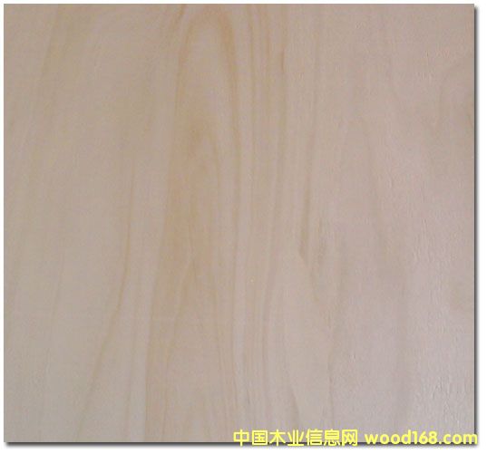 �c���鿴ͩľ��(f��)�ϰ�Ŵ�DƬ