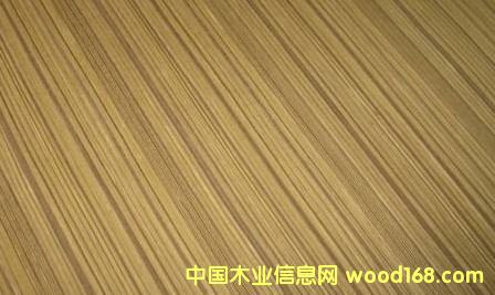 �Ƽ�ľֱ�y̩���N����Ԕ����B