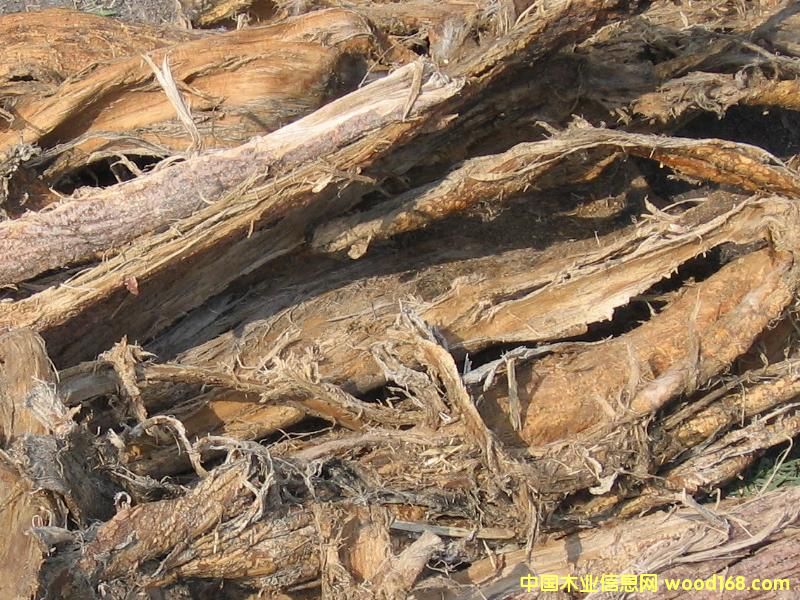 ��(g��u)ľƤ��2����Ԕ��(x��)��B