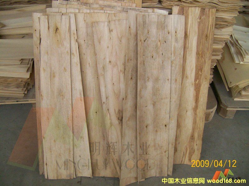 ��ľ�������Ԕ����B