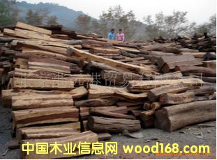 ����(y��ng)�ϓ뻨֦���� ľ�ĵ�Ԕ��(x��)��B