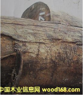 �������_�� ľ���}ԭľ ľ�� KAP