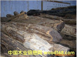 ����(y��ng)�|�Ǻ��S̴ ��ľ ��̴ �Ϲ�̴ԭľ ľ�ĵ�Ԕ��(x��)��B