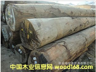 ������ʰͶ� �T�� ����˹ԭľ ��� MGRS