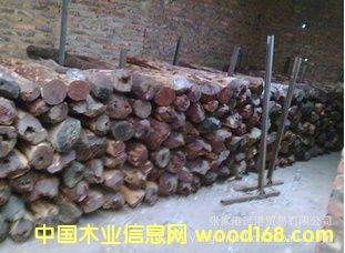 ����(y��ng)С�~��̴ ̴����̴ԭľ��Ԕ��(x��)��B