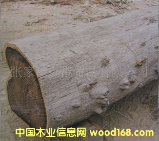 ����(y��ng) �W���S̴ ���黨֦ ԭľ ��ĵ�Ԕ��(x��)��B