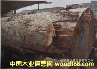 �������Sđľ �SӲľԭľ ľ�� HAY / NEO