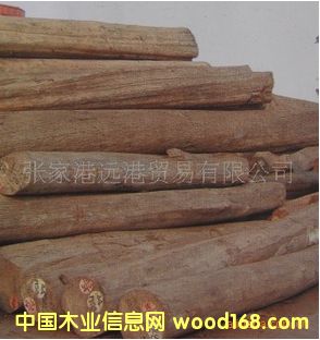 ����������ľ ��֬ľԭľ ľ�� TEAK