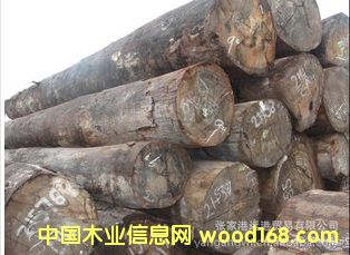 �����M������ľԭľ ��� ľ�� CAH / MEDN