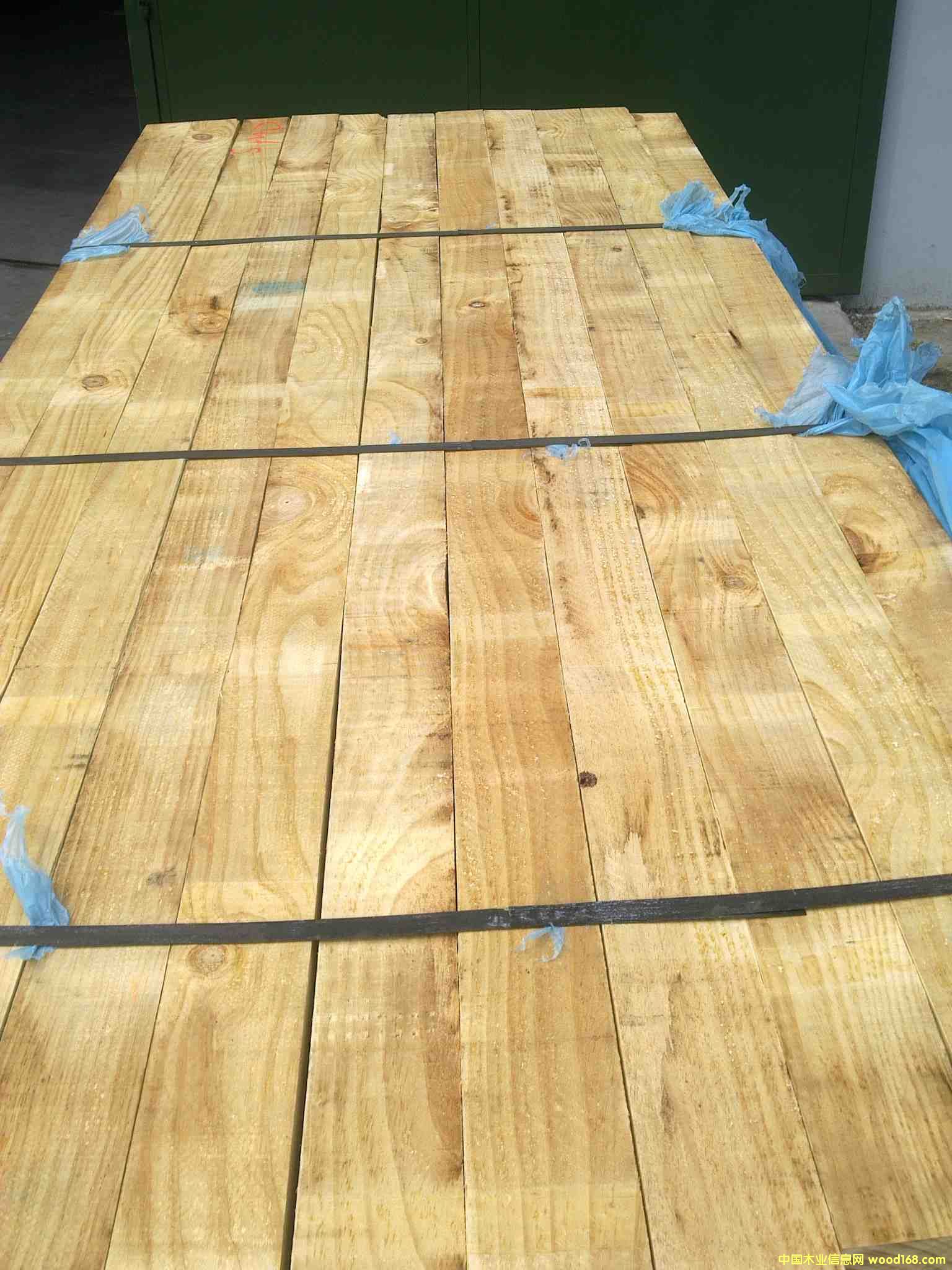 �����mݗ���ɵ�Ԕ����B