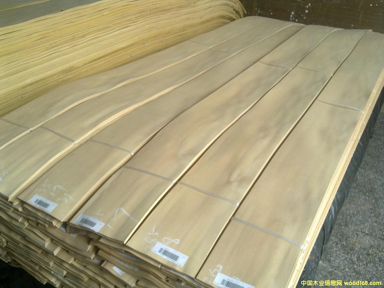 �t��ľƤ��Ԕ����B