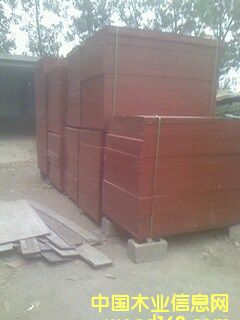 ľ�z���Ԕ����B