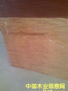 �Ӱ��Ԕ����B