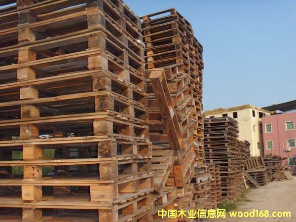 �B�T����ľ�бP��Ԕ����B