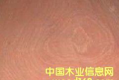 ɳ��������ľƤ��Ԕ����B