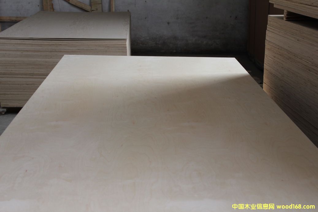 ȫ��ľ�z�ϰ��Ԕ����B