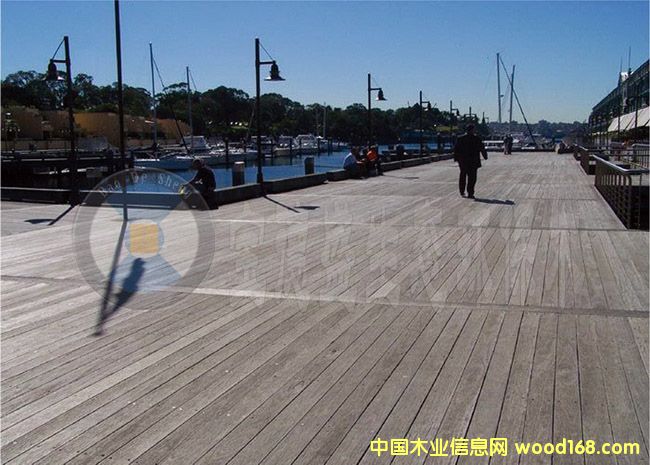 ���Bľ�S��