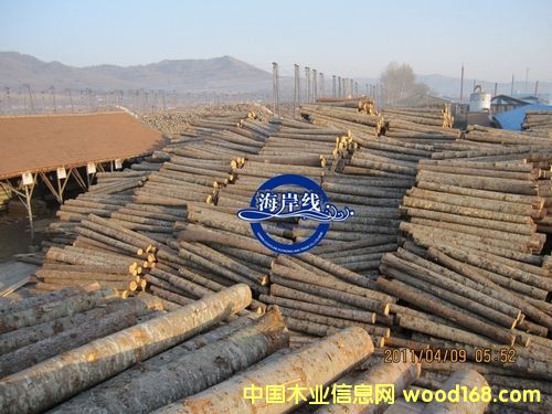 ���ɷ�ľ��Ԕ����B