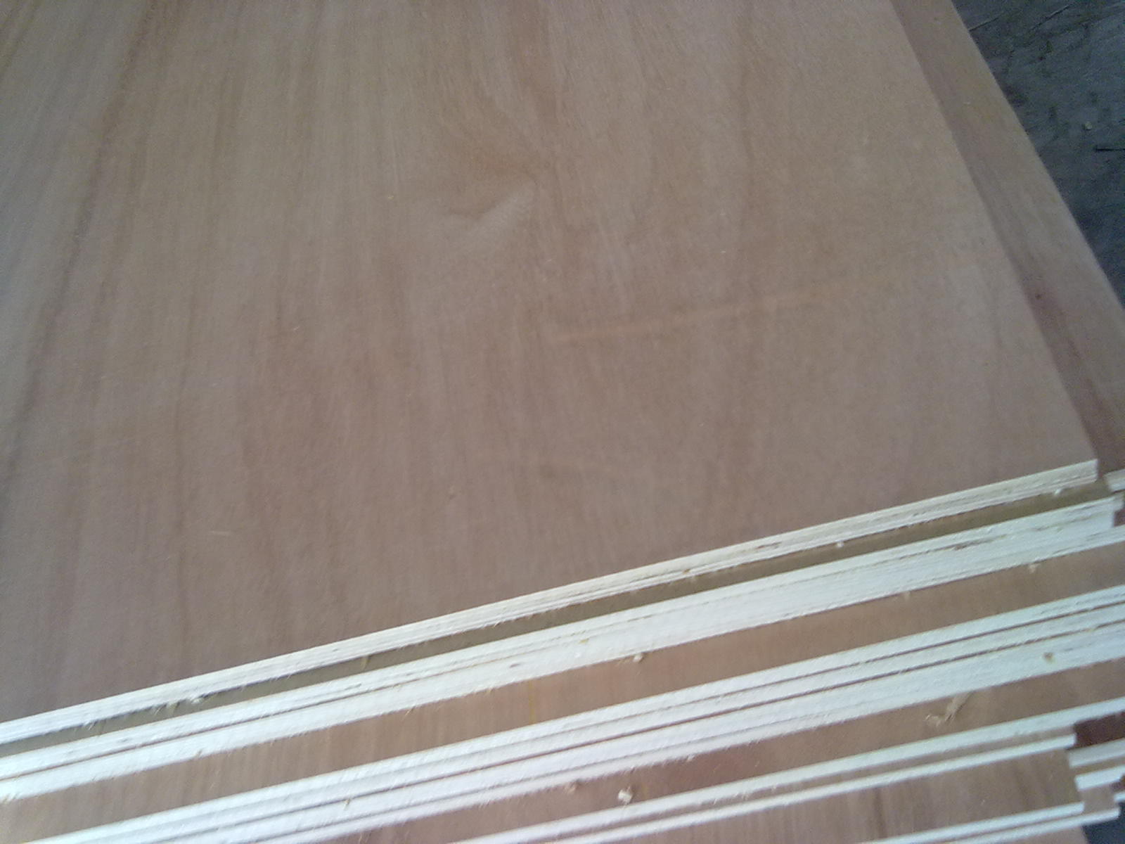 �һ�о��Ԕ����B