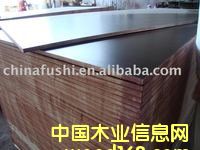 �c���鿴�����n����ľо����ģ��Ŵ�DƬ