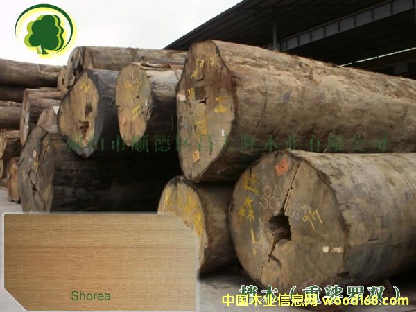 ��ľ �巽�@����/�촬��/���_��13690415561��Ԕ����B