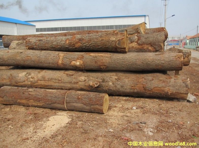 �_�R�၆����ԭľ��Ԕ����B