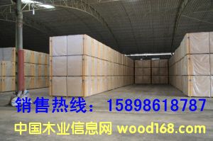 ��ľ����2��Ԕ����B