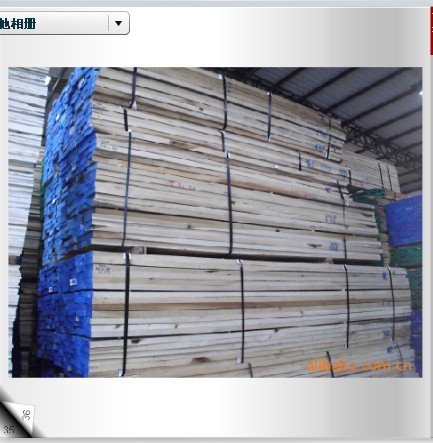 Yellow Poplar(�S��ח�Z��鱣���ľ����Ԕ��(x��)��B