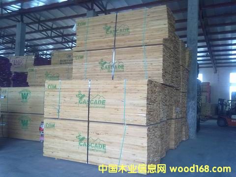 ���������Ԕ��(x��)��B