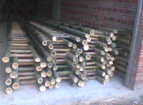 ���ݵ�Ԕ����B